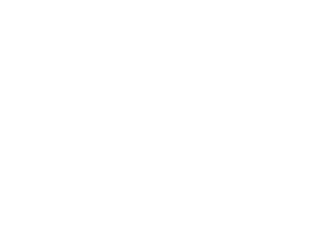 Florida Heritage Insurance - Logo 500 White