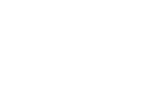 Florida Heritage Insurance - Logo 500 White